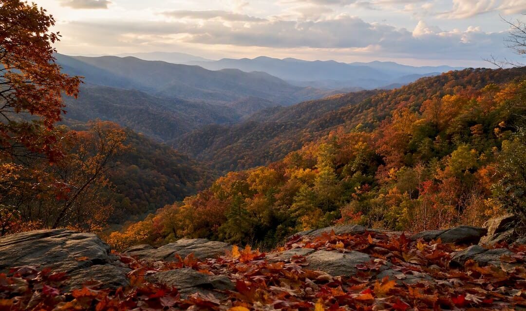 Leaf Watching in Georgia: Best Spots and Timing