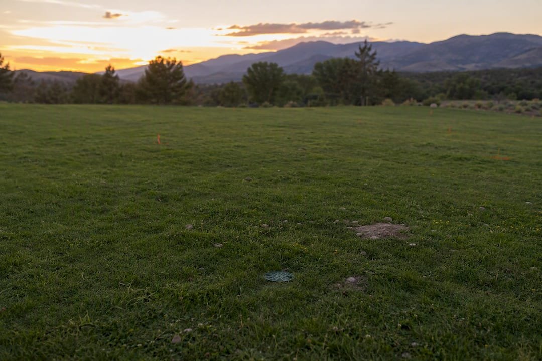 Sprinkler heads and marks in wedding grass site